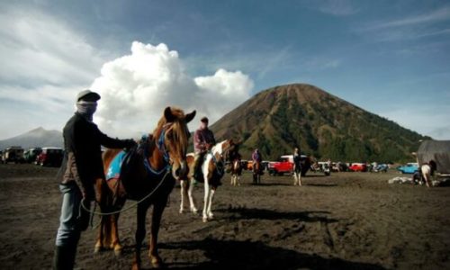 Ingin Paket Wisata Bromo Murah? Hubungi Kayana Tour
