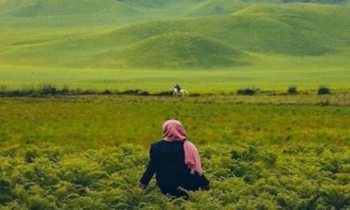 5 Tempat Wisata Bromo Terbaik Di Indonesia