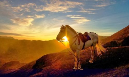 Tips Menikmati Sunrise Gunung Bromo